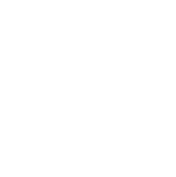 Logo Pavel Gubceac